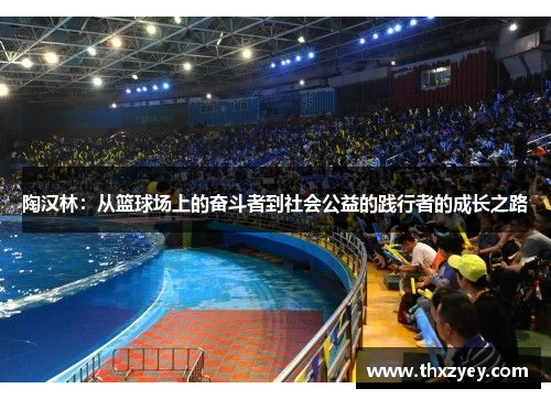 陶汉林：从篮球场上的奋斗者到社会公益的践行者的成长之路